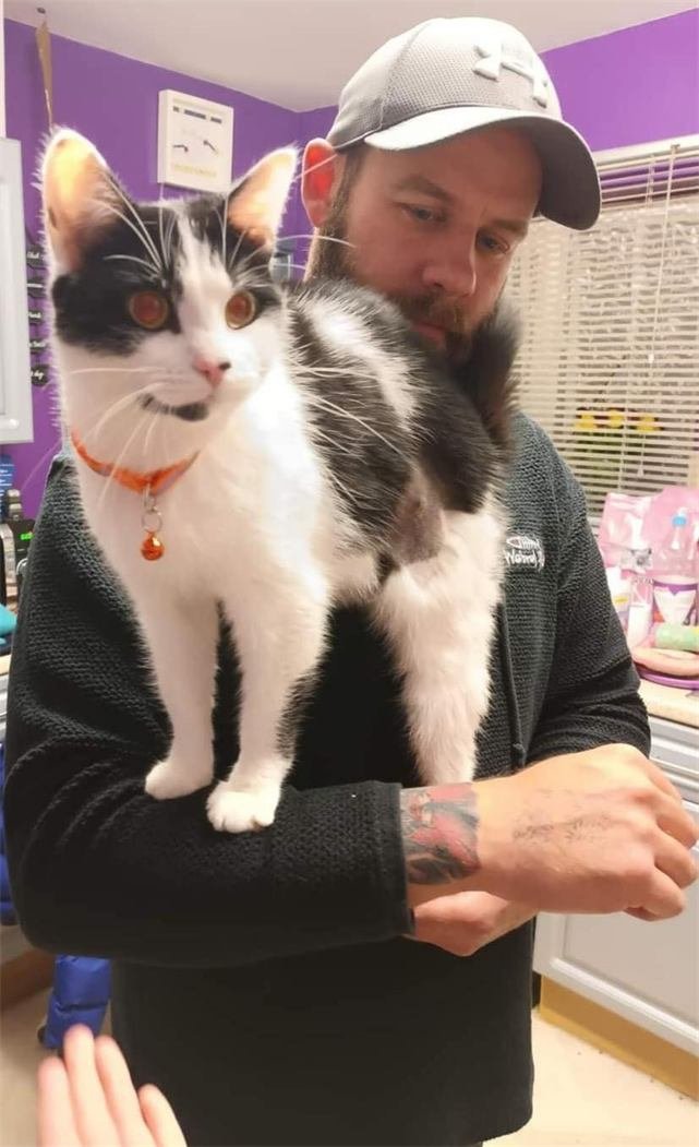 A black and white cat in an orange collar perched on a man's arm