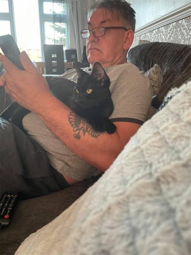 A black cat with yellow eyes relaxing in the crook of a man's arm on the sofa