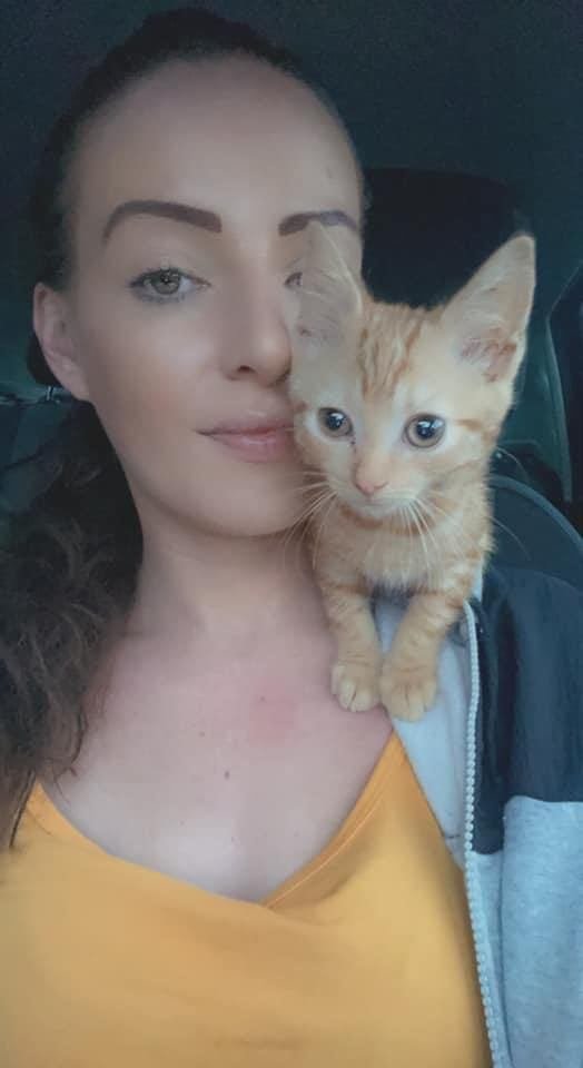 A ginger kitten perched on a woman's shoulder
