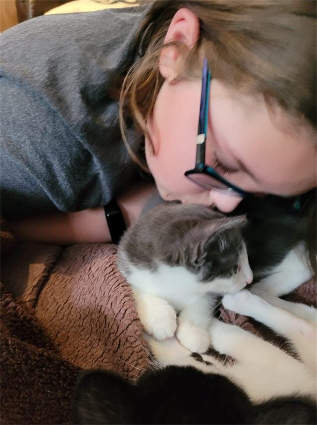 A woman kissing the head of a sleeping grey and white kitten