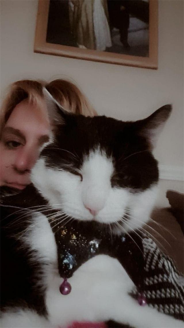 A black and white cat in a sparkly collar dozing against a woman