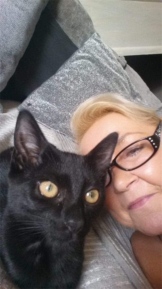 A foster carer cuddled up with a black cat with amber eyes