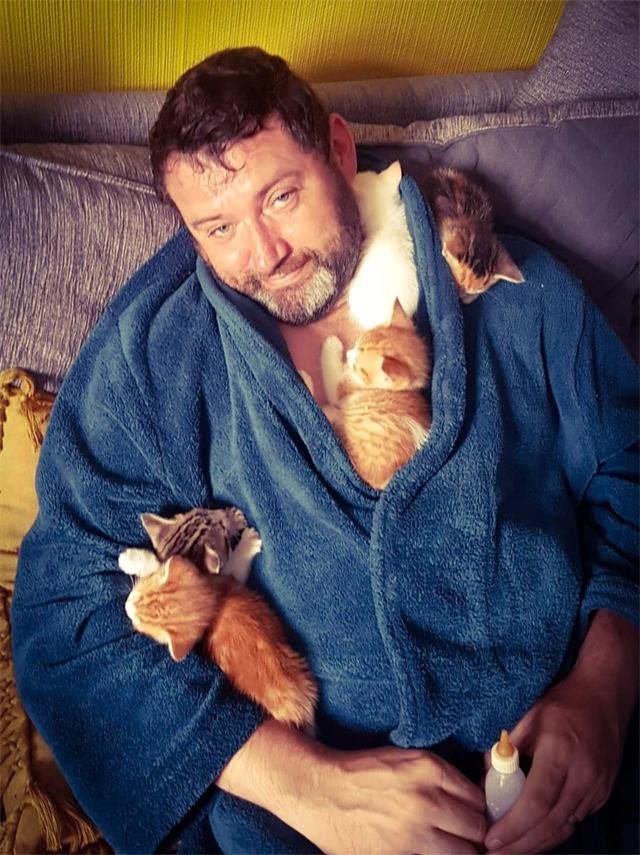 A foster carer in a blue dressing gown with four kittens asleep on him
