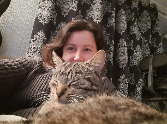 A tabby cat dozing contentedly on a foster carer's lap
